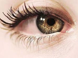 致盲性眼病——黄斑病变