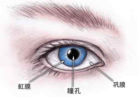 原发性开角型青光眼的症状有哪些
